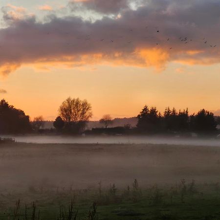 Fewo Am Wald Boek Eksteriør bilde